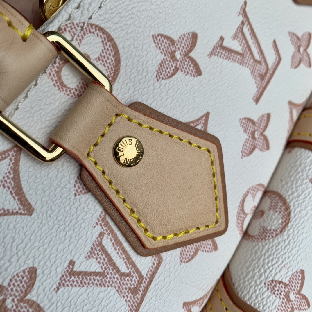 l0*is V*t0n speedy shoulder 25-25*19*15cm