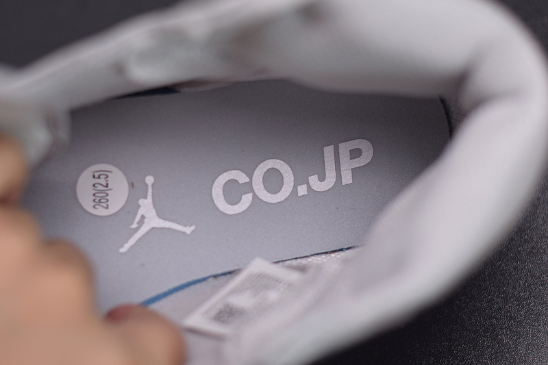 JORDAN 1 RETRO HIGH CO JAPAN NEUTRAL GREY (2020) DC1788-029