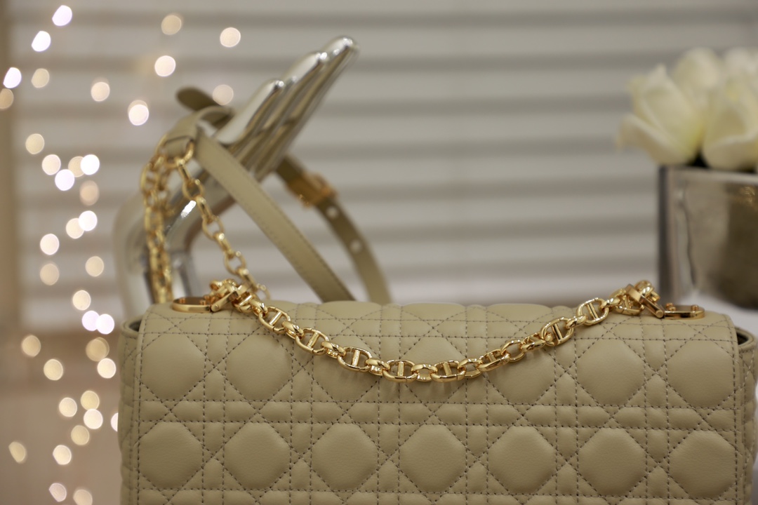 D*or 2021 caro bag-28*17*9cm