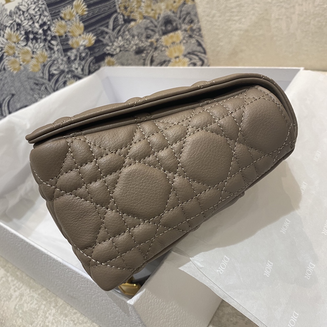 D*or 2021 medium caro bag-25.5*15*8cm