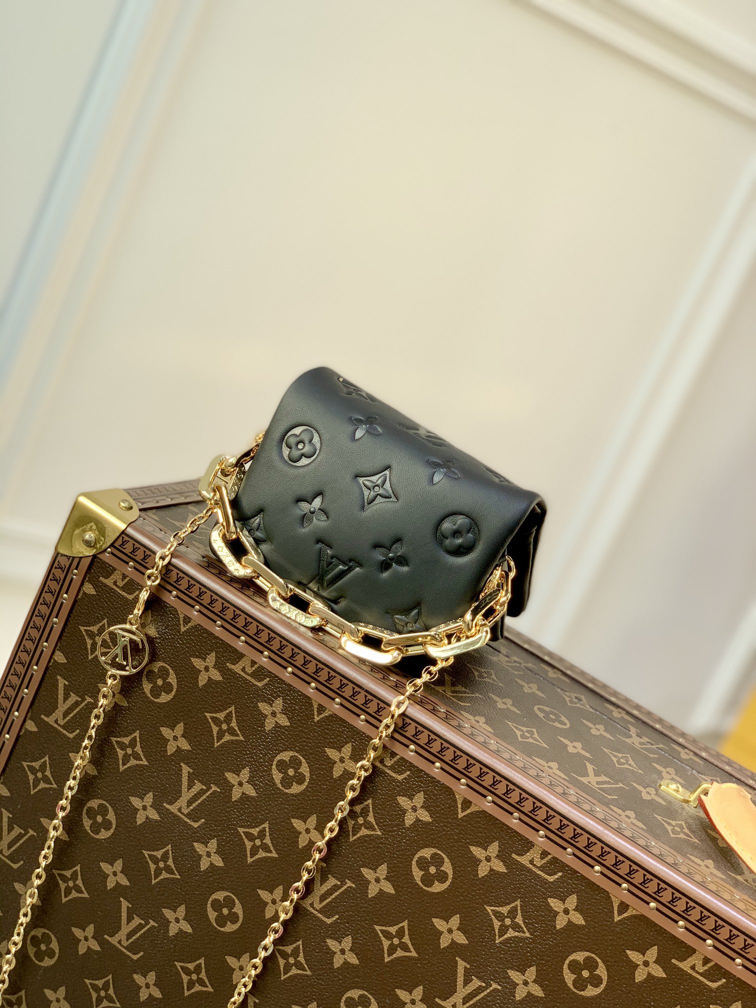 l0*is V*t0n mini coussion-13×4×10cm