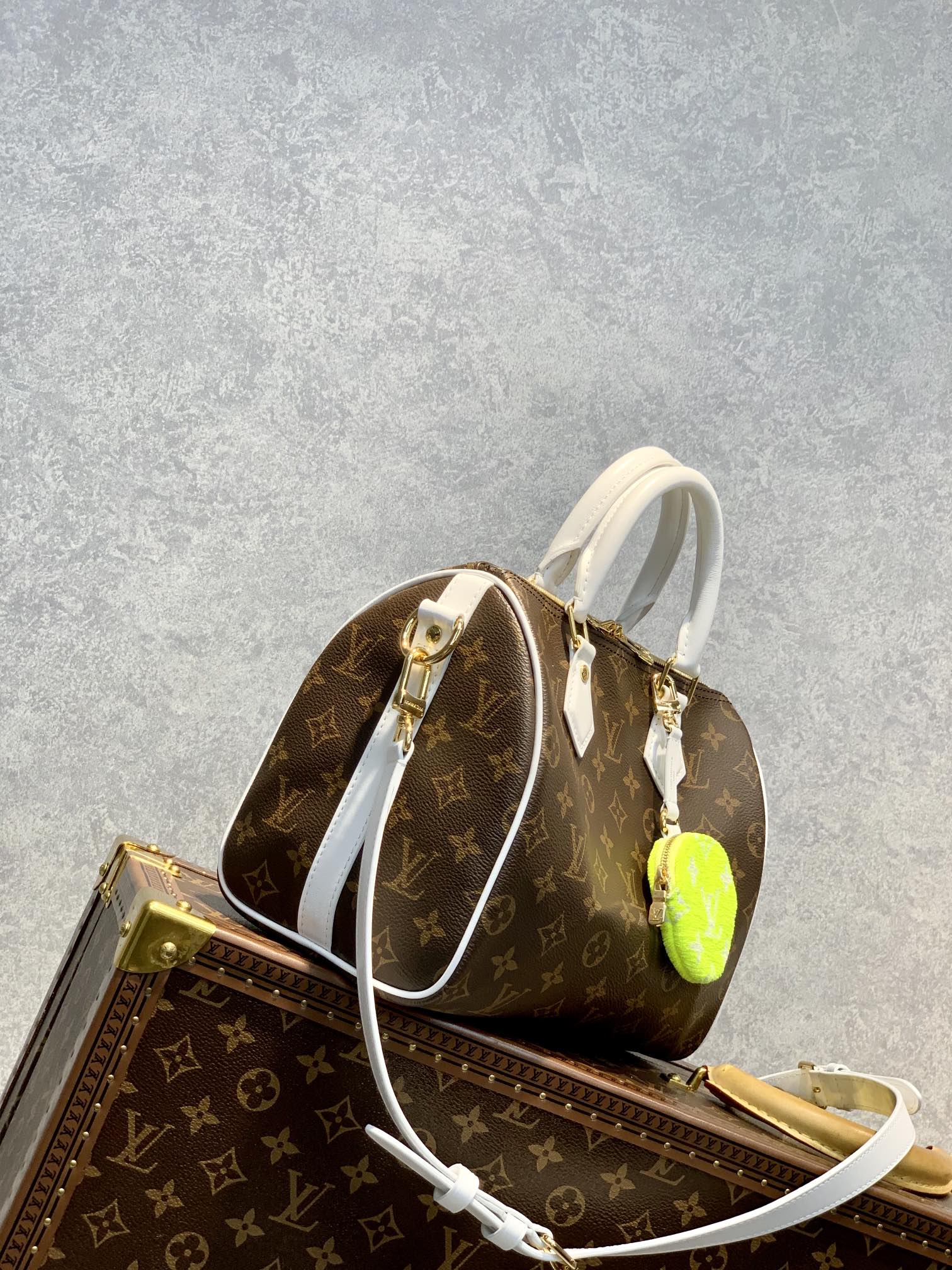 l0*is V*t0n speedy bandoulière 25-25*19*15cm