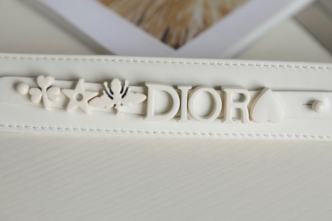 D*or lady bag-20*16.5*8cm