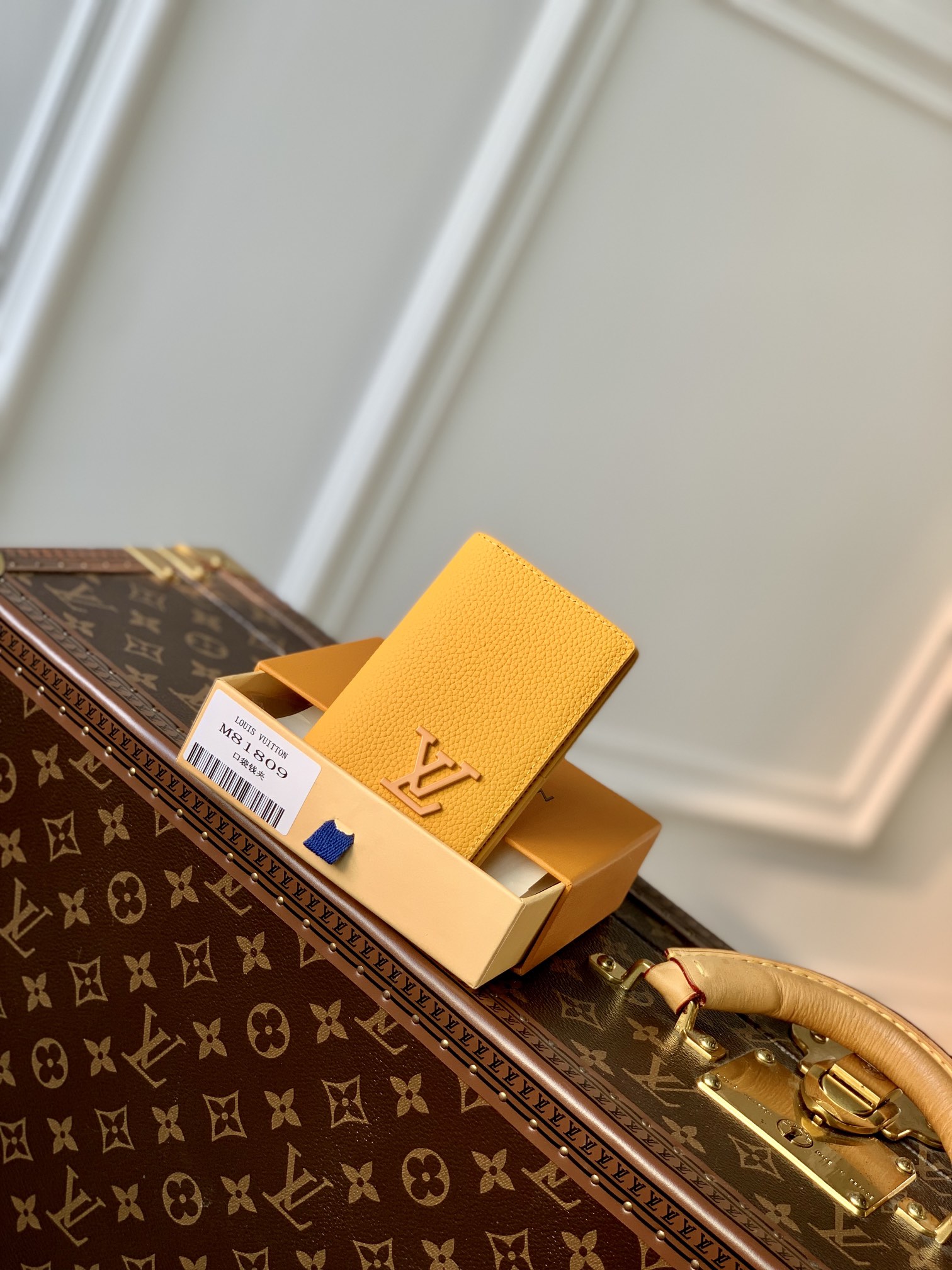 l0*is V*t0n aerogram wallet-8 x 11 x 1cm