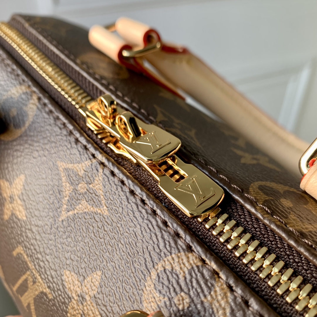 l0*is V*t0n speedy m40489 20 -20.5 x 13.5 x 12cm