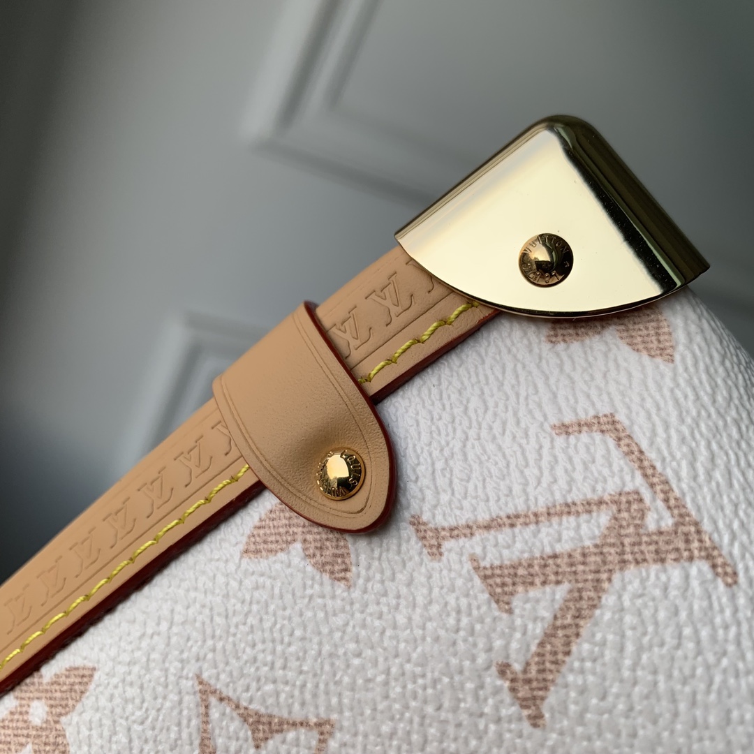 l0*is V*t0n side trunk pm- m22944-21×14×6cm